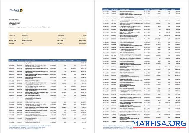 Realistic Nigeria First bank account statement word 2 pages template
